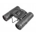 Бинокль Borner Roof BK-7 8x21 (черный)