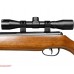 Пневматическая винтовка Crosman Rem Vantage RW1K77X2 (4.5 мм, прицел 4х32, дерево)